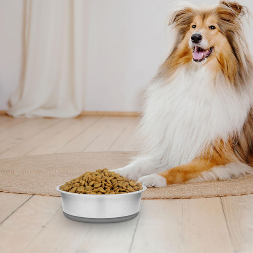 2 Cuenco De Acero Inoxidable Para Perros Con Base De 14cm