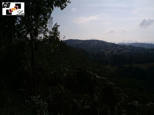 Imagem 14 de 21 de Chacara - Ch00102 - 32005865