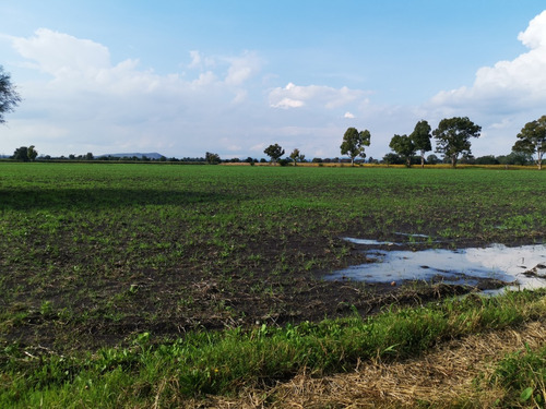 Remate De Fabuloso Lote Para Agricultura, Invernaderos, Rancho O Casas De Descanso. Luz, Agua Y Aire Puro A Tu Disposición.