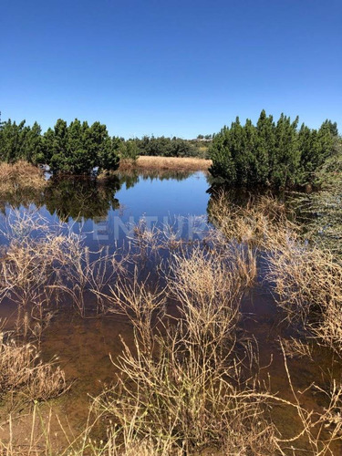 En Venta: Terreno Rustico En Valle De Guadalupe, En Ensenada, B.c.