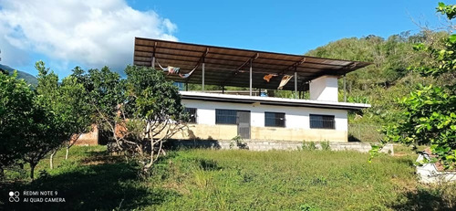 Casa Con Parcela 1800omts Aprox Viva En El Campo Y A La Vez En La Ciudad A 5 Minutos Del Centro De Guatire  