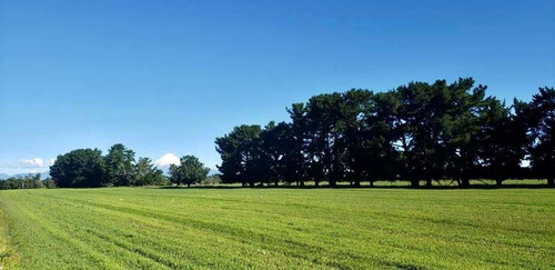 Parcelas En Frutillar, Bosque Y Praderas. Financiamiento
