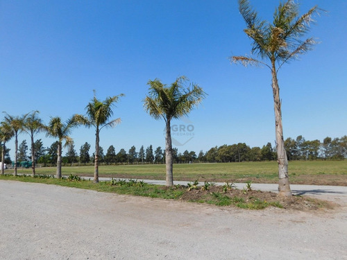 Imagen 9 de 27 de Lote - Venta - Praderas De Cardales - Alto Los Cardales - Zona Norte