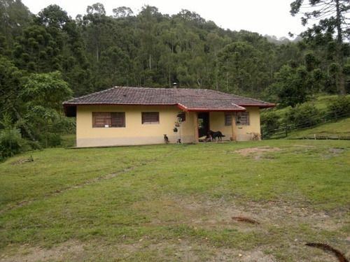 Imagem 11 de 15 de Magnifica Fazendinha 33 Alqueires - St-631