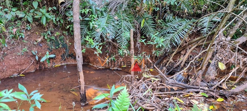 Imagem 10 de 14 de Chácara Em Santa Terezinha - Itatiaiuçu - 13624