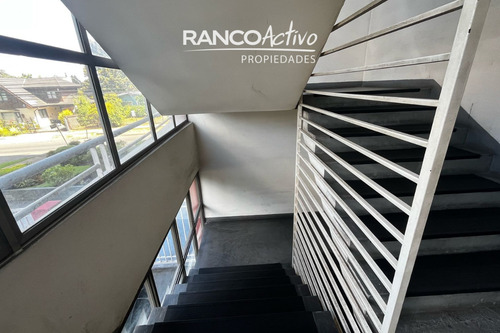 Arriendo Depto 2d 2b A Pasos De Av. Alemania, Temuco