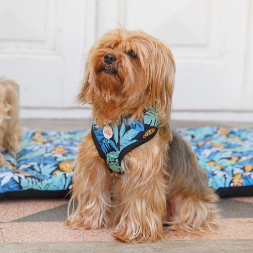 Pretal Arnes Para Perro Talle S Acolchado Lola Pets