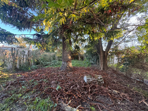 Venta Casa Con Amplio Jardín Con Arboleda Lote 394 M2 / En Capilla Del Señor