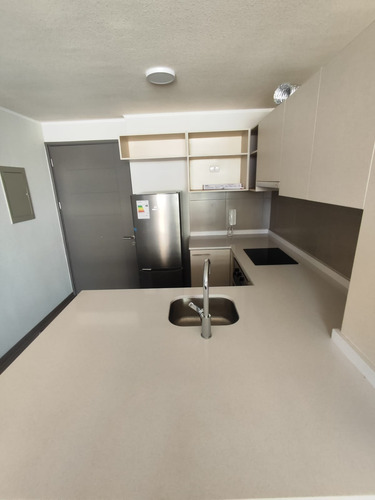 Arriendo Departamento 1 D 1 B Bod Y Terraza Semi Amoblado