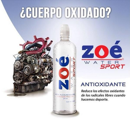 Zoé Water Sport ® 500ml Alcalina Con Electrolitos Ph 9.5