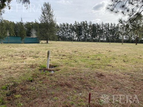 Imagen 1 de 7 de Venta De Terreno En Club Miralagos 2 (28340)
