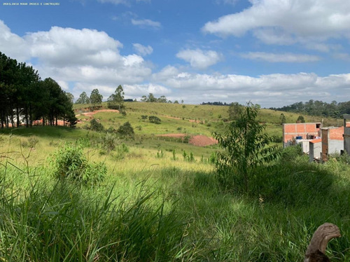 Imagem 5 de 6 de Área Para Venda Em São Paulo, Anhangüera - A1857_2-1172333