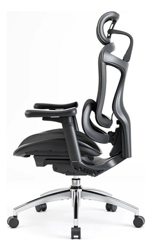 Cadeira Ergonômica Para Escritório Sihoo Doro C100