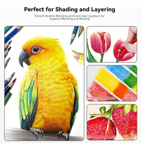 Lapices De Colores Pro. Arrtx 72 Lápices De Colores Para Adu