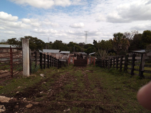 Rancho Con Luz A 45 Minutos De Merida 56 Hectareas Propiedad