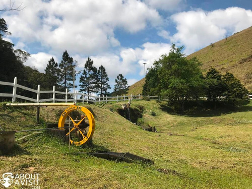 Imagem 13 de 14 de Excelente Fazenda Com 66 Hectares, Aconchego E Beleza