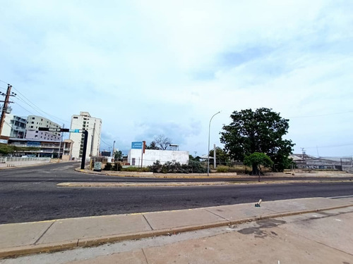 Ta-001 Zona Norte Alquiler Terreno Bella Vista Maracaibo