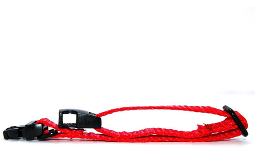 Pack 3 | Collar Para Perro Con Herraje Metálico | Chico