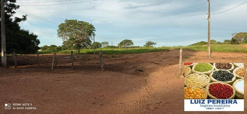 Imagem 12 de 15 de Fazenda À Venda Em Figueirópolis - To - De 114 Alqueirões (dupla Aptidão) - 1672