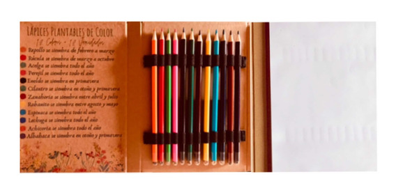 12 Lápices Colores Pintar Plantable Semilla Libreta Estuche | MercadoLibre