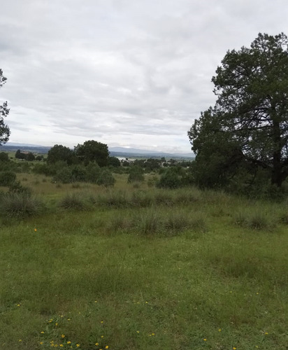 Tlaxcala , La Trasquila, Atlangatepec, Terreno, Venta