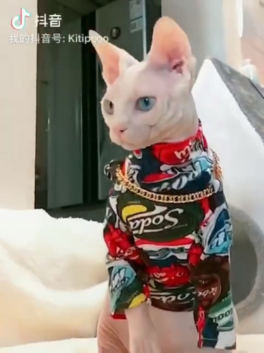 Kotomoda Camiseta elástica de algodón con diseño de gato sin pelo color morado 