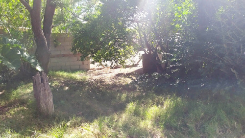 Oportunidad En La Zona Más Buscada, Totalmente A Reciclar