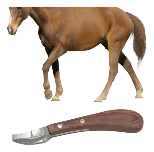 Faca De Casco De Cavalo, Ferramentas De Reparo De Casco,