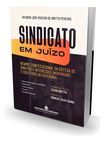 Sindicato Em Juízo - 2024, De Pereira, Ricardo José Macedo De Britto. Editorial Mizuno, Capa Mole, Edição 2024-06-17 00:00:00 Em Português