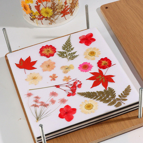Kit De De Flores, Máquina De Estampado Para 15 Cmx15cm