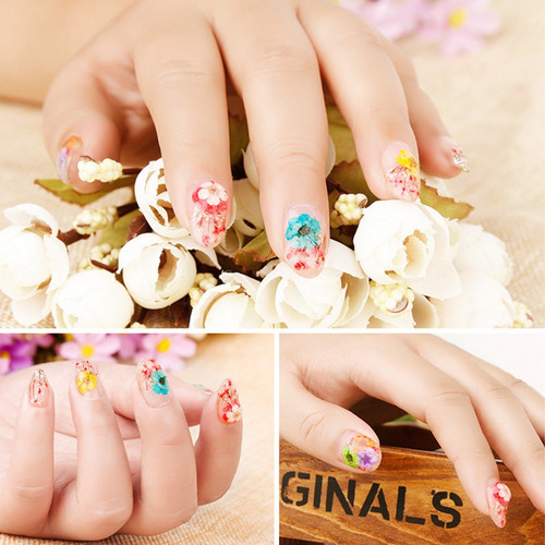 Flores Secas Flores De Uñas Románticas Para Decorar Tu