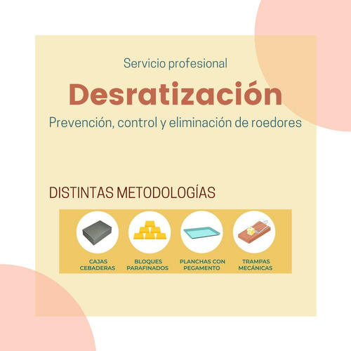 Imagen 3 de 9 de Fumigación - Desinfección - Cucarachas - Ratas - Mosquitos