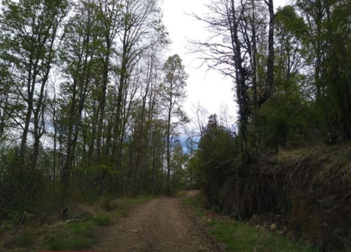Agrícola Campo O Inmobiliario Loteo En Venta En Panguipulli