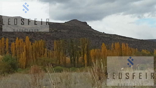 Imagen 5 de 10 de Terreno - Alumine
