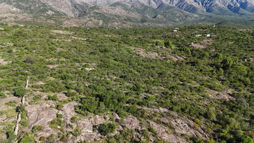 Campo En Venta En Nono, Los Algarrobos