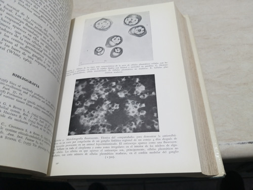 Libro. Clínica Inmunologica. Gell Coombs (Usado)