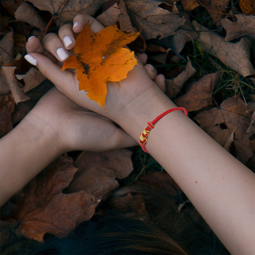 Pulsera De Hilo Rojo De 2 Piezas: Año De La Serpiente 2025 H