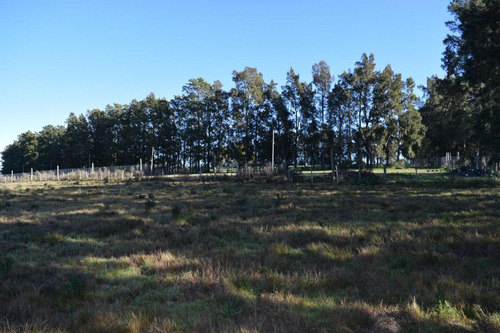 Venta Chacra Ruta 60 Maldonado Pan De Azucar Cerro Betete