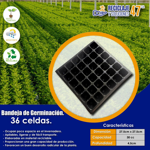 Bandeja De Germinación Semillas