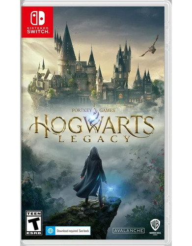 Hogwarts Legacy  Standard Edition Nintendo Switch Físico