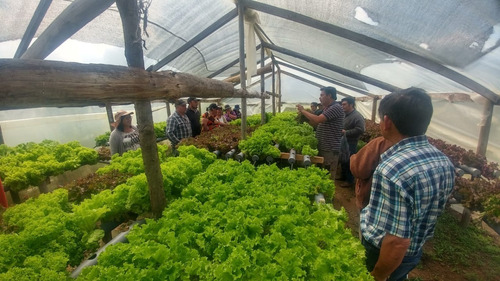 Nutrientes Hidropónicos A Y B Para 1000 Litros