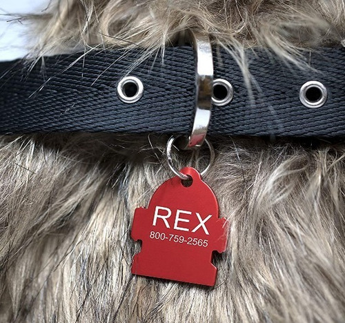 Imagen 5 de 7 de Plaquitas Placas Identificadora Personalizada Para Mascotas