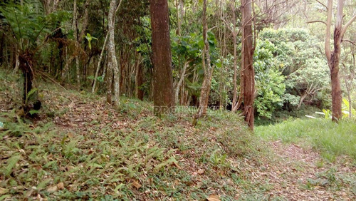 Imagem 4 de 16 de Terreno À Venda, 8000 M² Por R$ 1.200.000,00 - Capuava - Embu Das Artes/sp - Te8770