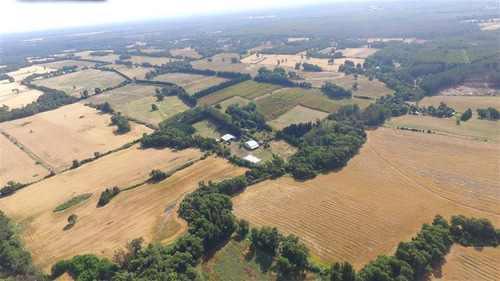 Imagen 9 de 15 de Agrícola En Venta En Ercilla