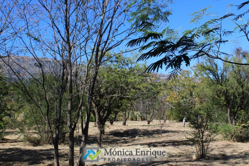 Lote De 1500m2 En Cerro De Oro, Sobre Calle Cuesta De La Granadilla