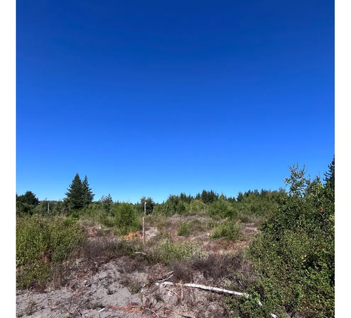 Venta Sitio Proyecto El Arrayan Camino Unihue Talcamavida