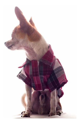Ropa Perro Chihuahua Talla 2 Camisa De Cuadros