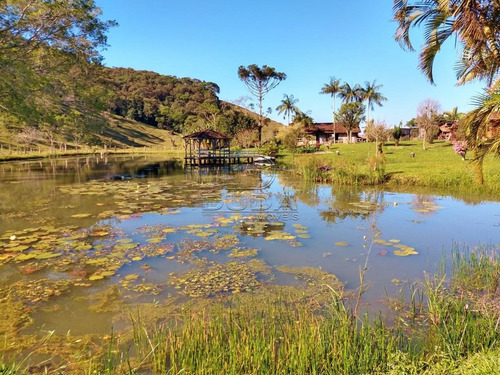 Imagem 5 de 15 de Sitio - Bom Retiro - Ref: 34332 - V-34329