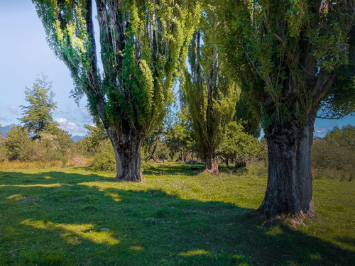 Hermosa Hectárea Con Acceso Al Río Aysen A 10 Min De Puerto