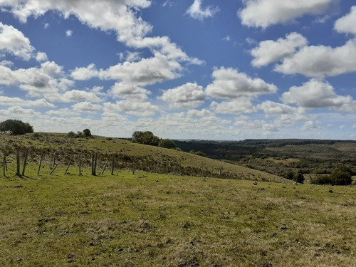 Campo Financiado